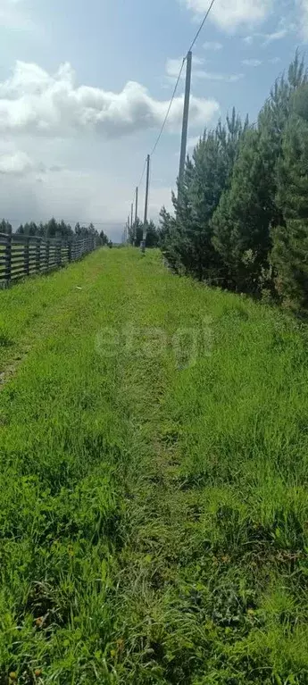 Участок в Свердловская область, Слободо-Туринский район, ... - Фото 1