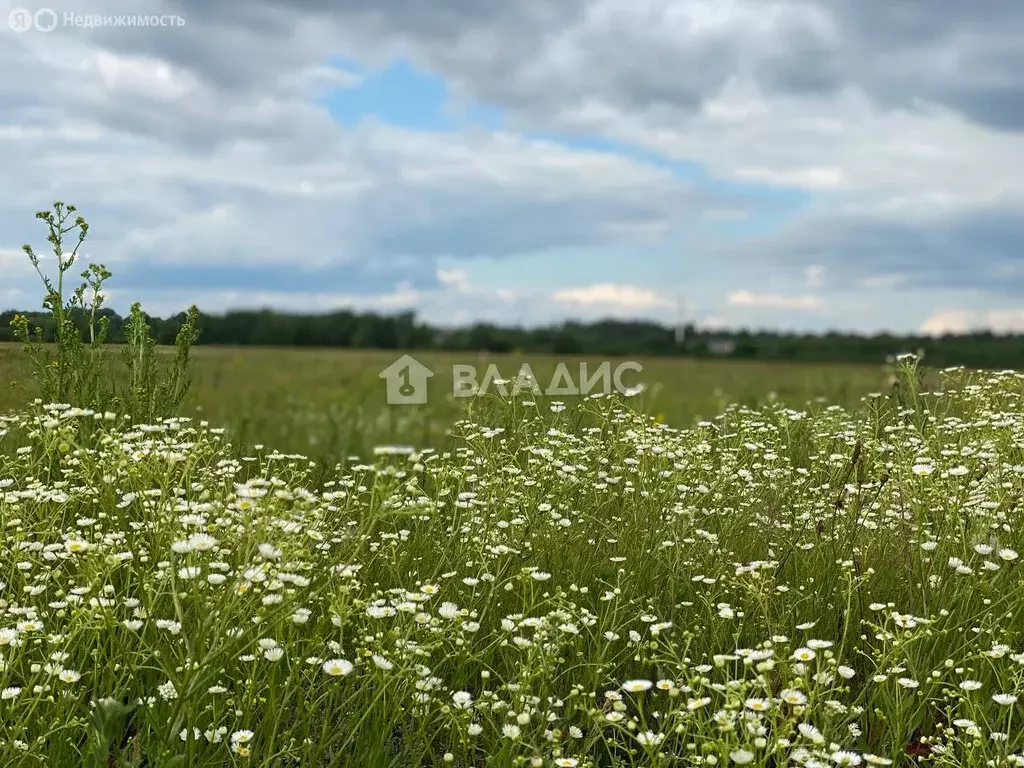 Участок в Раменский городской округ, деревня Клишева (8.05 м) - Фото 1