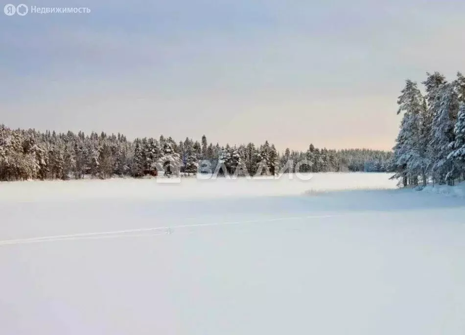 Участок в Нижегородская область, Кстовский муниципальный округ, село ... - Фото 1