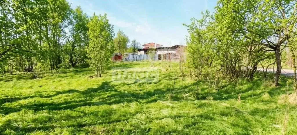 Участок в Московская область, Дмитров (8.7 м) - Фото 2