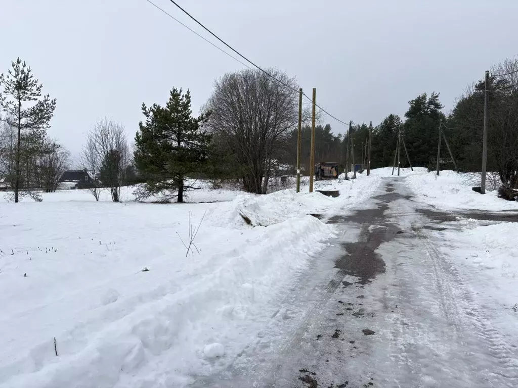 Участок в Ленинградская область, Приозерский район, Запорожское с/пос, ... - Фото 2