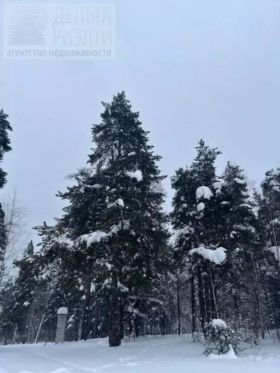 Участок в Ивановская область, Ивановский район, Куликовское с/пос, д. ... - Фото 2