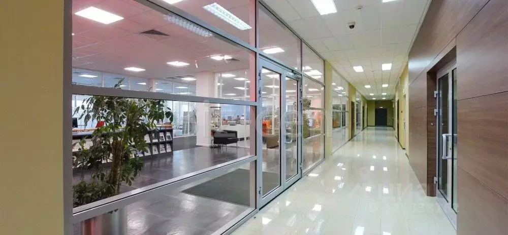 Офис в Московская область, Мытищи Центральная ул., с20Б (391 м) - Фото 2