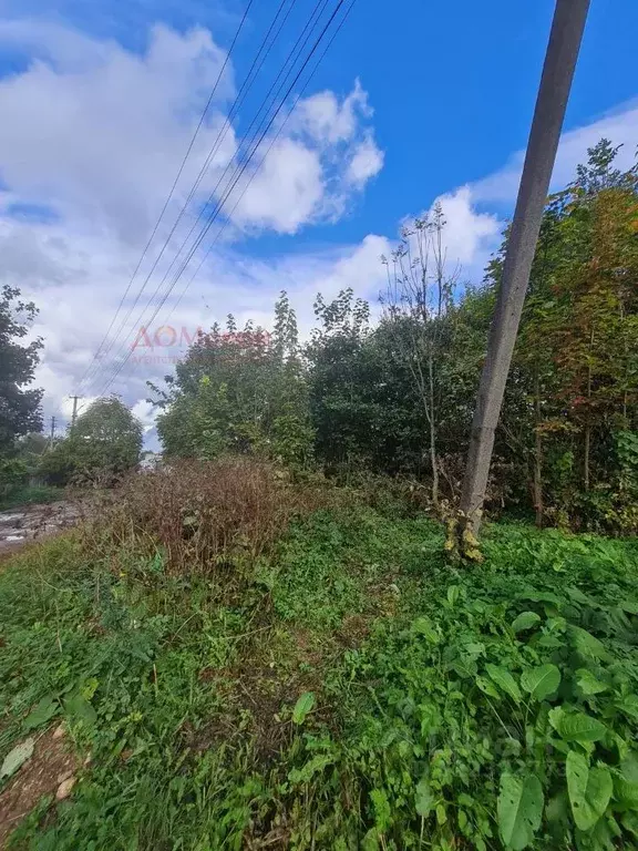 Участок в Смоленская область, Смоленский муниципальный округ, д. ... - Фото 2