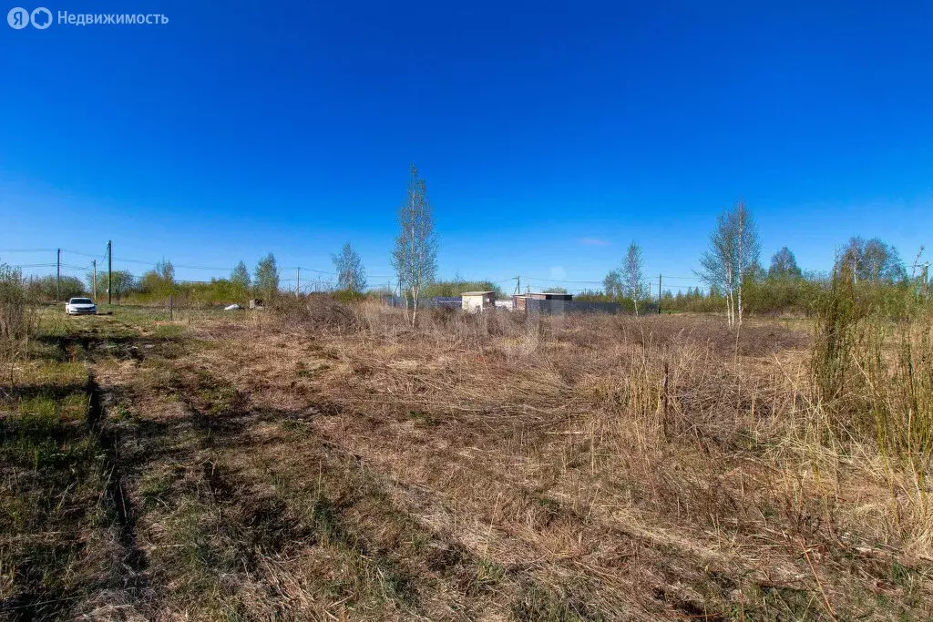 Участок в Тюмень, садоводческое некоммерческое товарищество Большое ... - Фото 0
