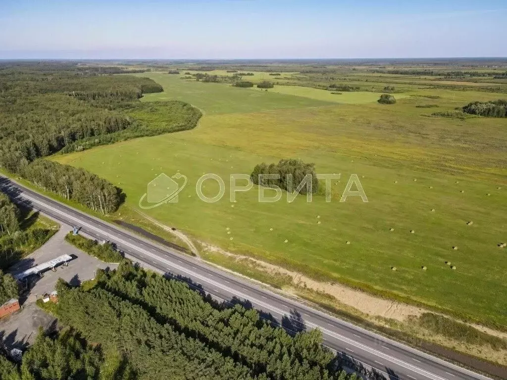 Участок в Тюменская область, Ярковский муниципальный округ, с. ... - Фото 1