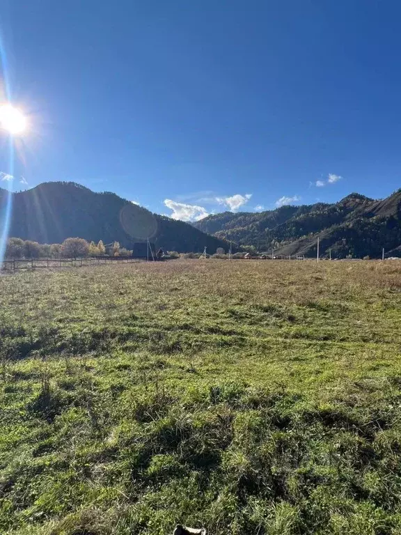 Участок в Алтай, Чемальский район, Аносинское с/пос  (10.0 сот.) - Фото 2
