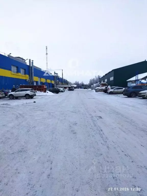 Производственное помещение в Санкт-Петербург пос. Парголово, ... - Фото 2