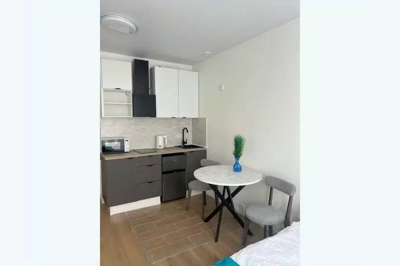 1-к кв. Москва Производственная ул., 17 (23.0 м) - Фото 1