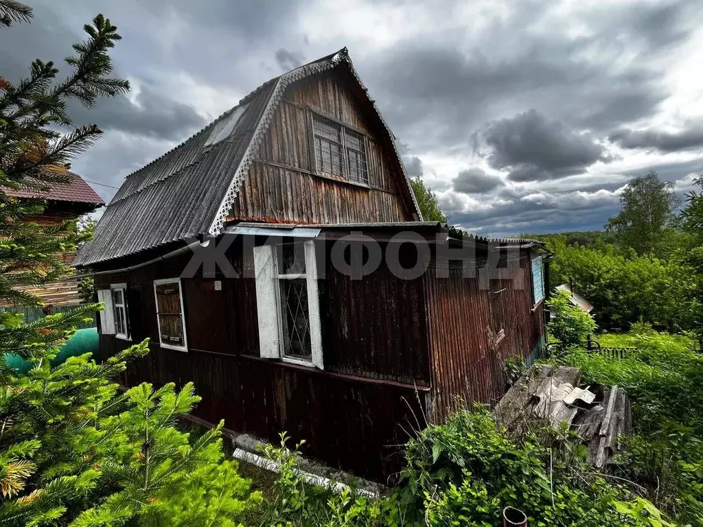 Участок в Новосибирская область, Новосибирский район, Раздольненский ... - Фото 1