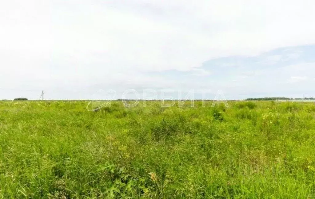 Участок в Тюменская область, Тюмень ул. Олега Антонова (6.0 сот.) - Фото 1