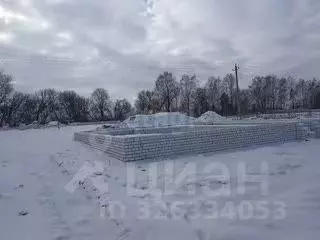 Дом в Брянская область, Брянский район, Отрадненское с/пос, с. ... - Фото 1