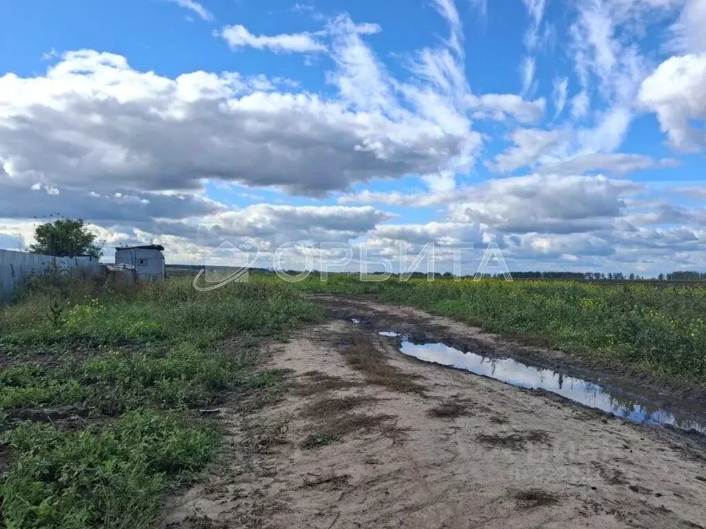 Участок в Тюменская область, Тюменский муниципальный округ, с. Ембаево ... - Фото 2