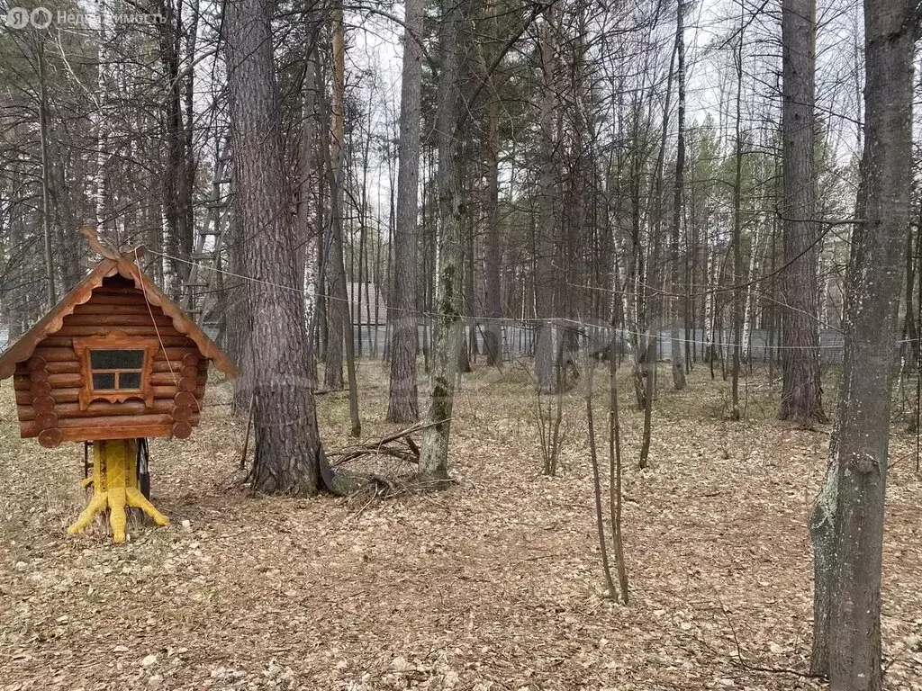 Участок в Нижнетавдинский район, село Тюнево (9 м) - Фото 1