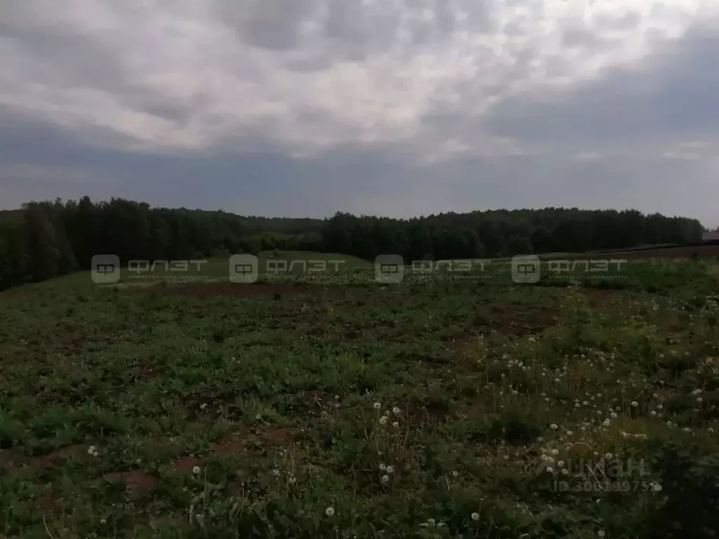 Участок в Татарстан, Высокогорский район, с. Березка ул. Новостройка, ... - Фото 1