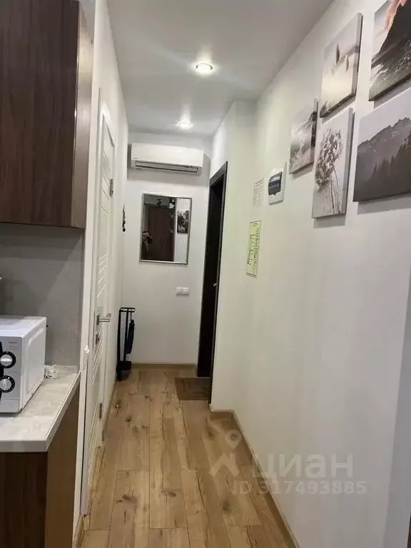 Студия Краснодарский край, Сочи Виноградная ул., 2/2с3 (33.0 м) - Фото 1