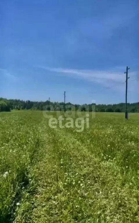 Участок в Пермский край, Краснокамский городской округ, пос. Ласьва ... - Фото 1