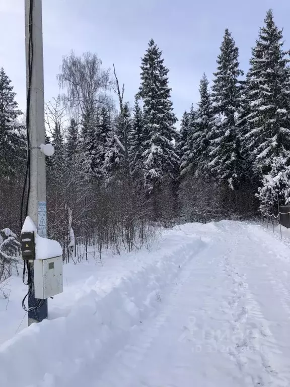 Участок в Московская область, Дмитровский муниципальный округ, д. ... - Фото 0