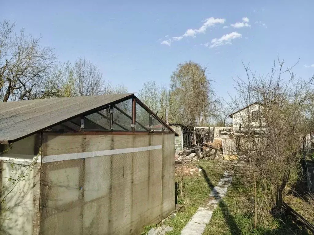 Участок в Нижегородская область, Бор Силикатчик СНТ, 49 (4.5 сот.) - Фото 0