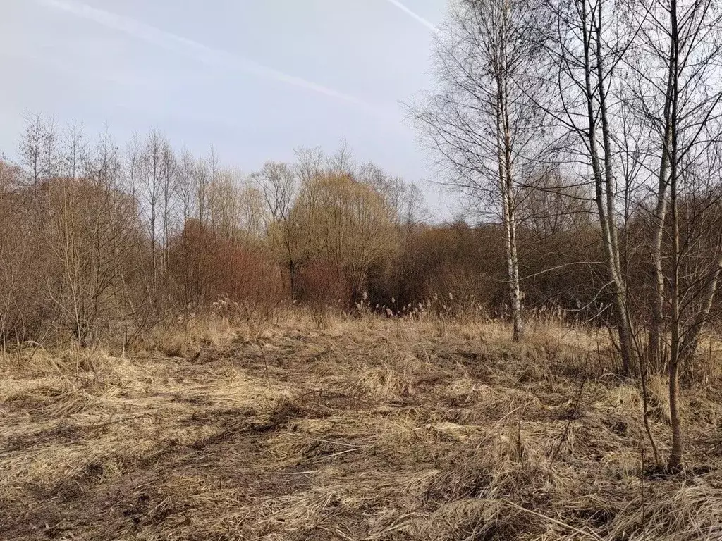 Участок в Московская область, Чехов  (10.17 сот.) - Фото 0