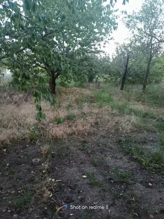 Участок 6 сот. (СНТ, ДНП) - Фото 0