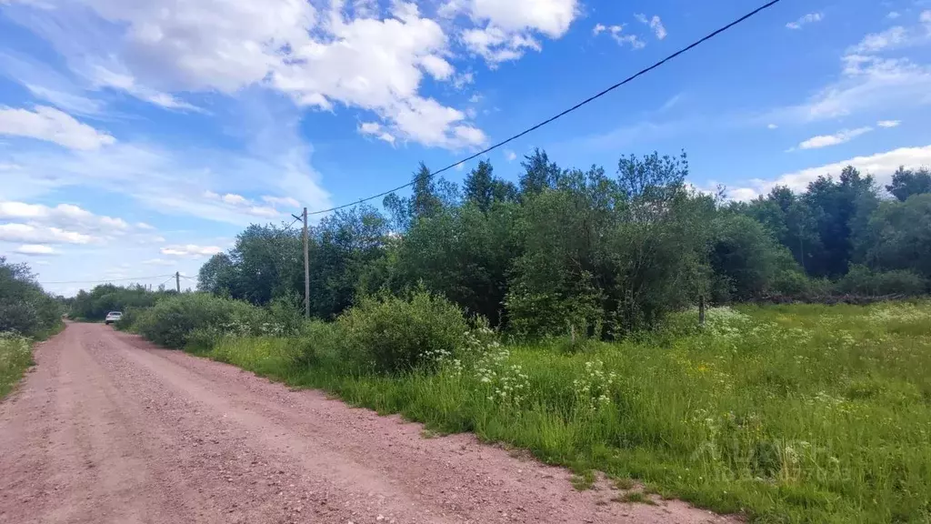 Участок в Ленинградская область, Подпорожский район, Вознесенское ... - Фото 2