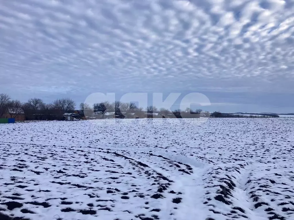 Участок в Краснодарский край, Армавир пл. Ленина (6.0 сот.) - Фото 1