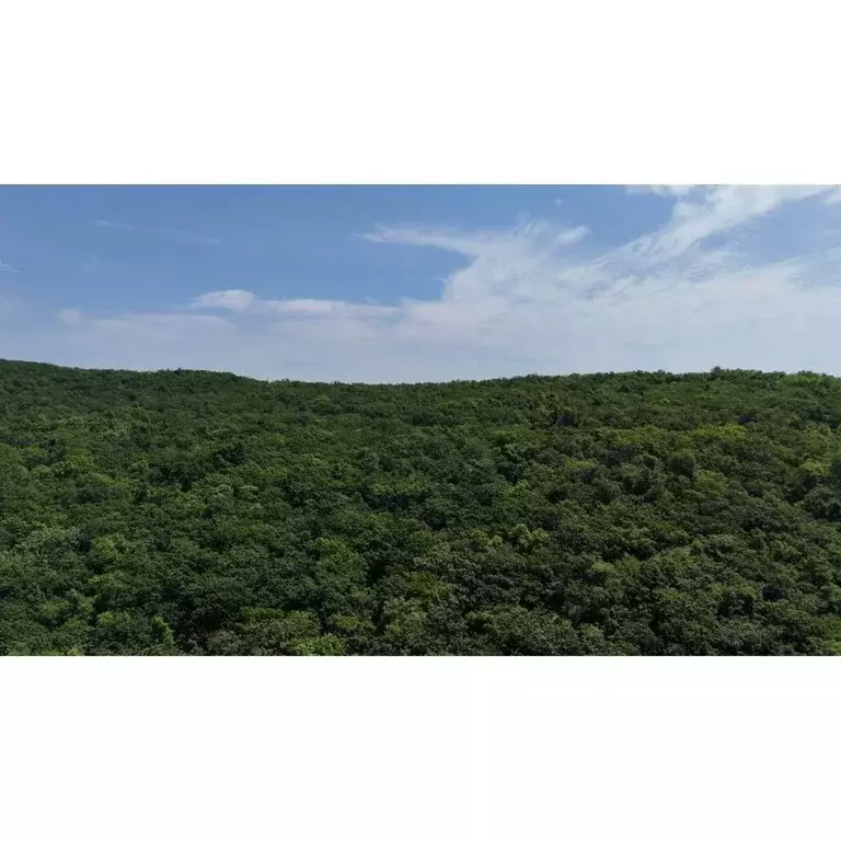 3-к кв. Приморский край, Владивосток ул. Нейбута (65.6 м) - Фото 2