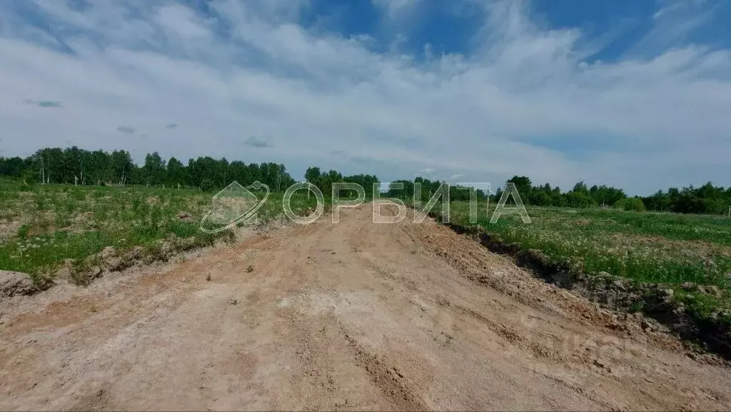 Участок в Тюменская область, Нижнетавдинский район, д. Штакульская  ... - Фото 0