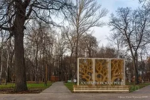 Дом в Тамбовская область, Тамбов Аграрная ул., 29 (369 м) - Фото 2