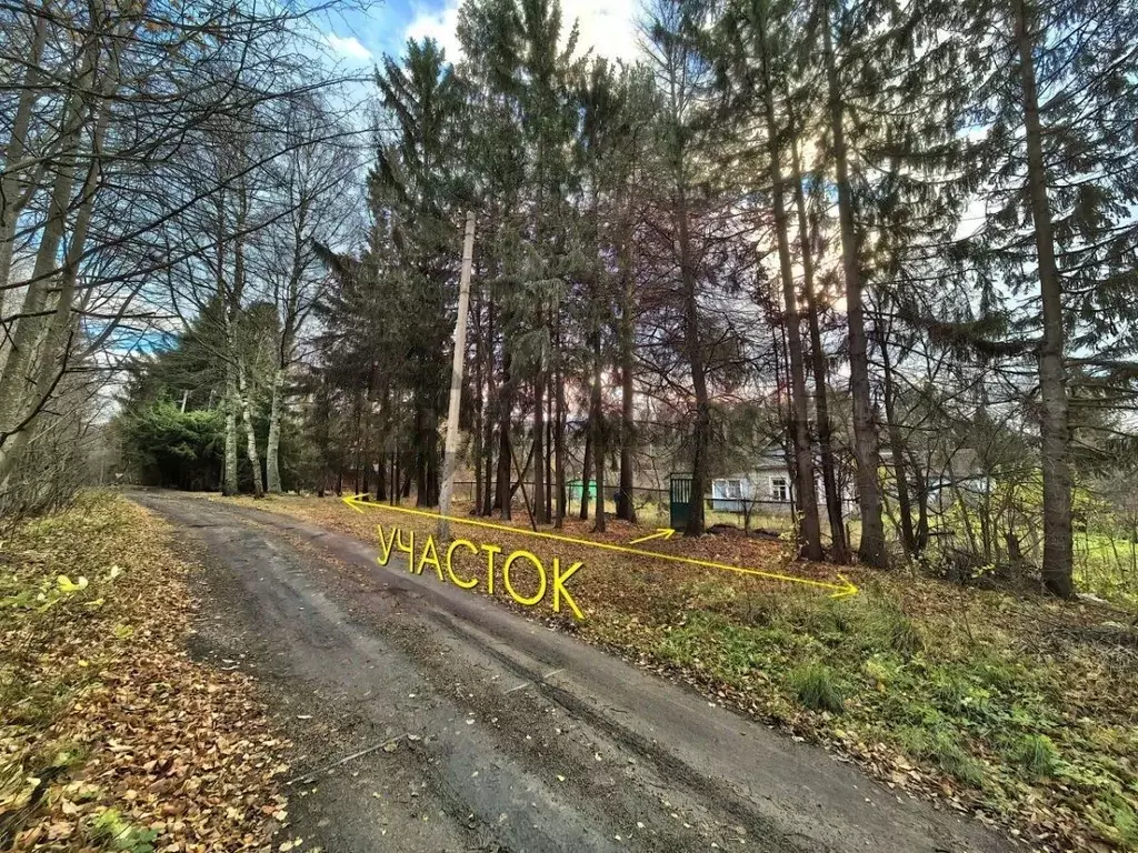 Участок в Ленинградская область, Ломоносовский район, Лебяженское ... - Фото 2