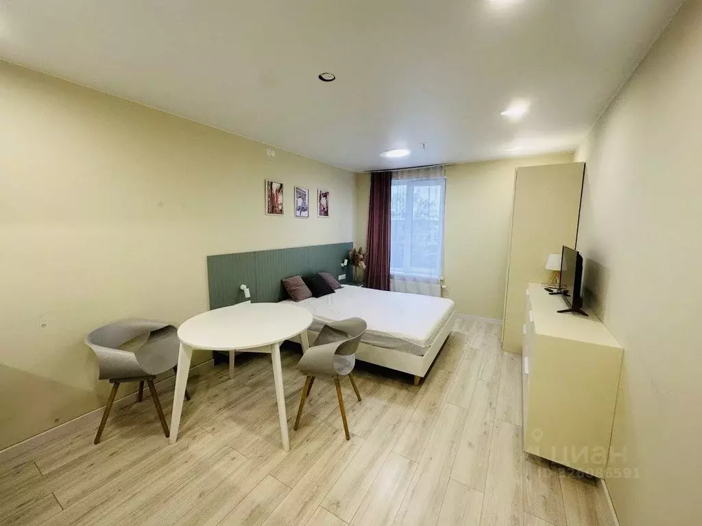 Студия Санкт-Петербург ул. Матроса Железняка, 2 (24.6 м) - Фото 1