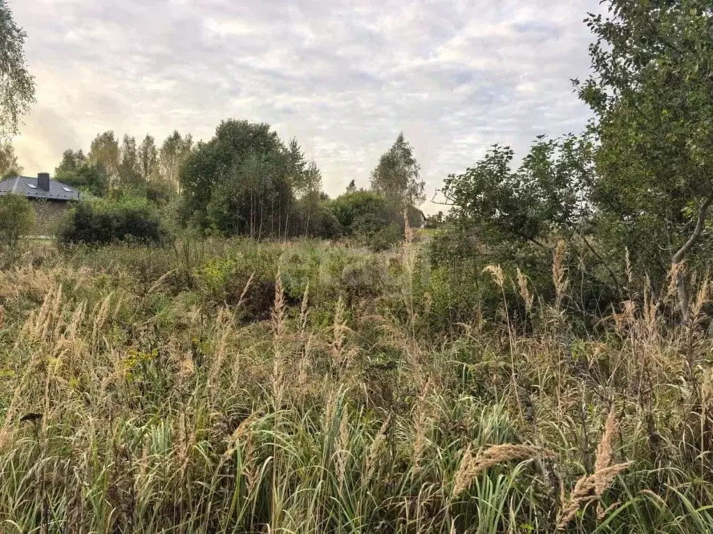Участок в Смоленская область, Смоленский муниципальный округ, д. ... - Фото 1