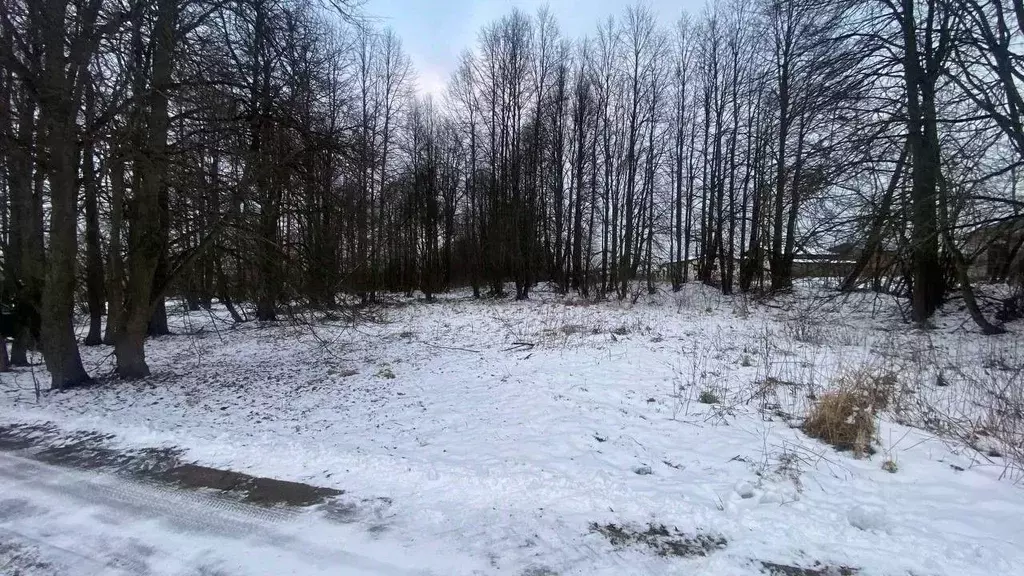 Участок в Московская область, Ступино городской округ, с. ... - Фото 1