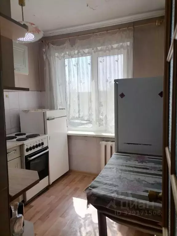 1-к кв. Алтайский край, Барнаул ул. Гущина, 203 (30.0 м) - Фото 2