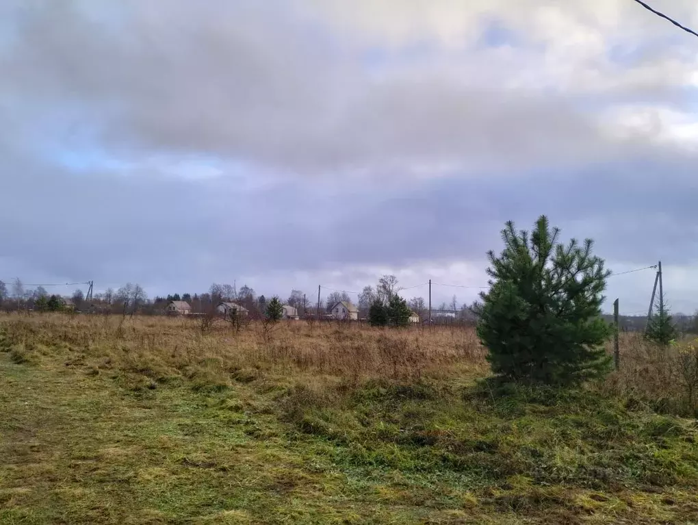 Участок в Новгородская область, Крестцы рп ул. Заветная (13.0 сот.) - Фото 1