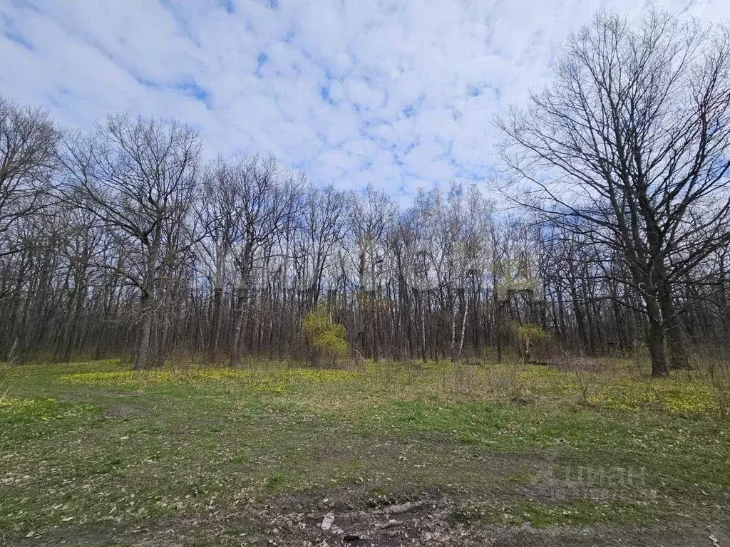 Участок в Воронежская область, с. Новая Усмань  (200.0 сот.) - Фото 1