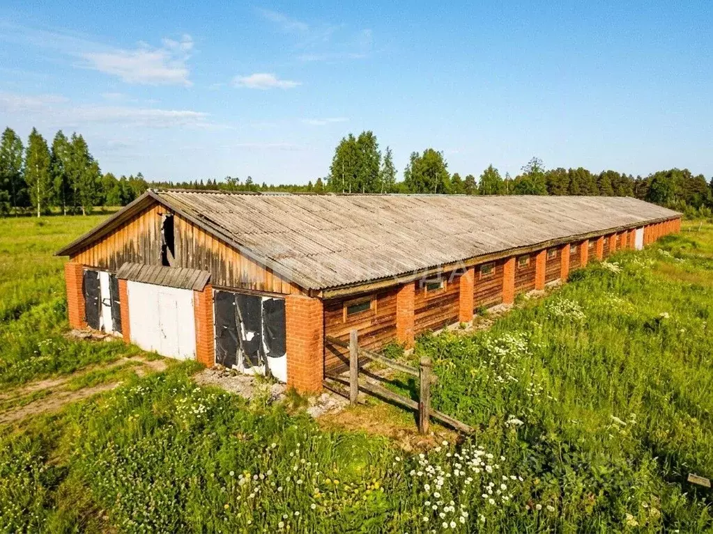 Производственное помещение в Томская область, Томский район, д. ... - Фото 2