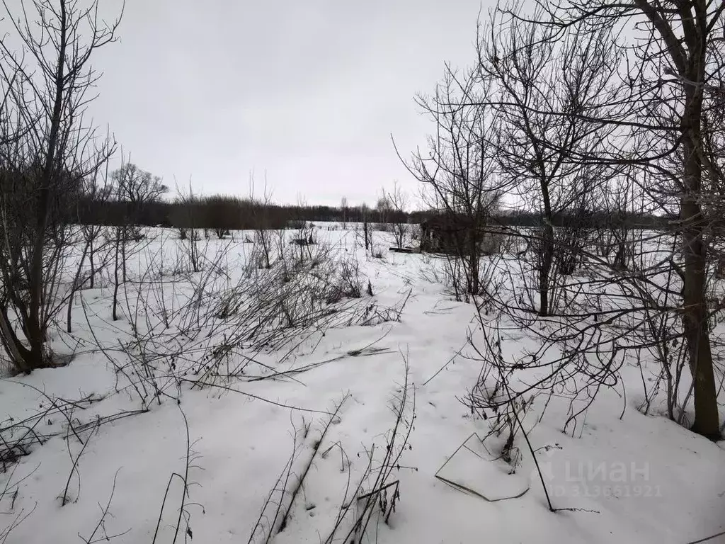 Участок в Ульяновская область, Старомайнский район, Краснореченское ... - Фото 0