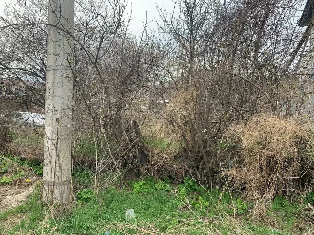 Участок в Краснодарский край, Анапа муниципальный округ, с. Супсех ул. ... - Фото 1