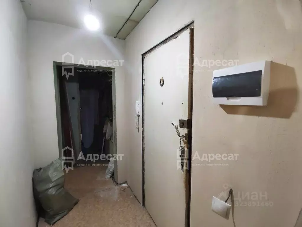 2-к кв. Волгоградская область, Волгоград ул. 64-й Армии, 113А (44.0 м) - Фото 1