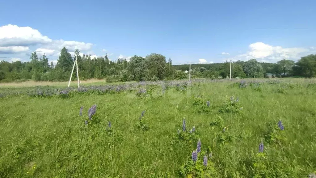 Участок в Смоленская область, Смоленский муниципальный округ, ... - Фото 1
