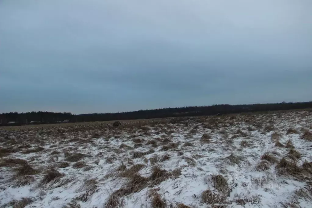 Участок в Московская область, Шаховская муниципальный округ, д. Дор  ... - Фото 2