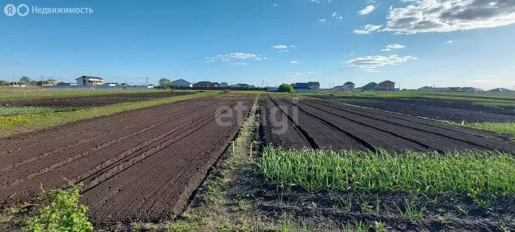 Дом в деревня Копцевы Хутора, Советская улица (63.7 м) - Фото 1