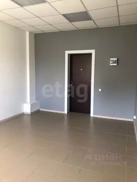 Офис в Новосибирская область, Бердск ул. Ленина, 122 (25 м) - Фото 1