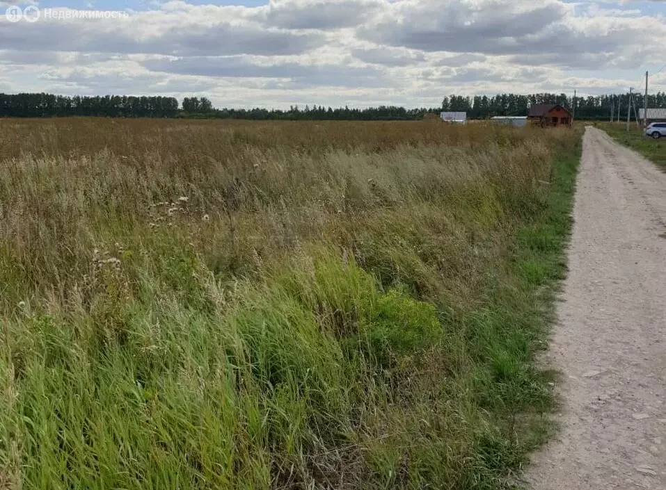 Участок в Лаишевский район, Егорьевское сельское поселение, дачное ... - Фото 0