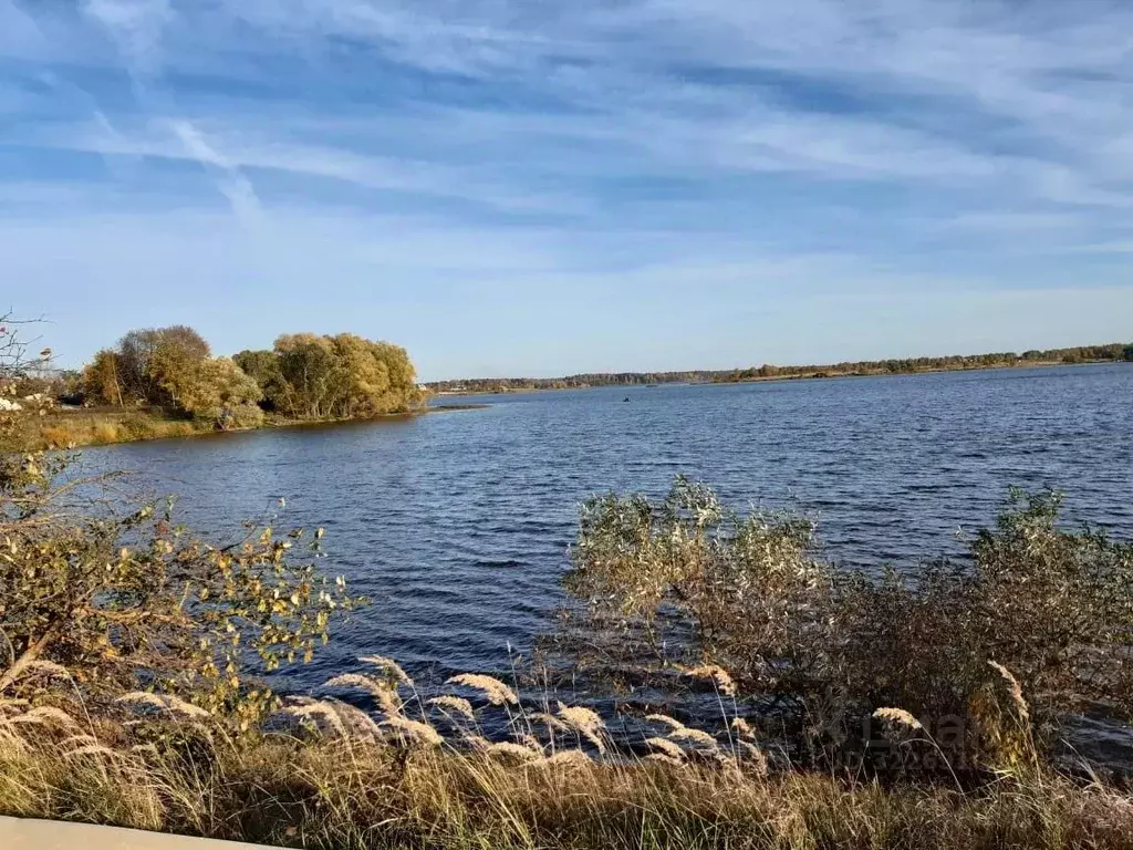 Участок в Калужская область, Жуковский муниципальный округ, Корсаково ... - Фото 2