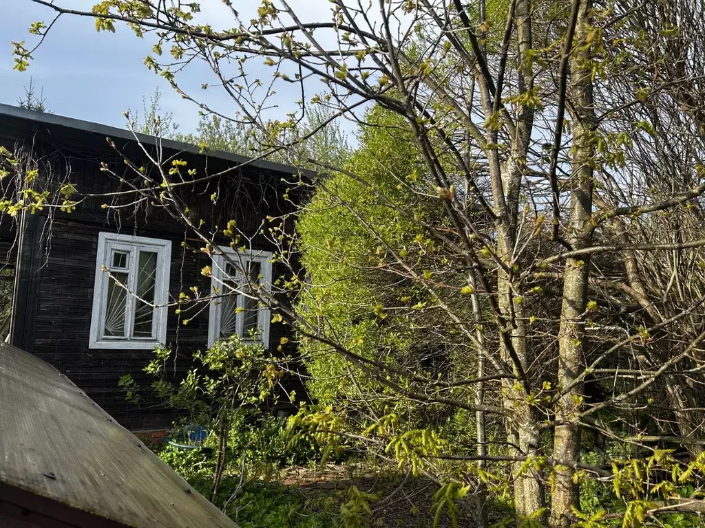 Дом в Ленинградская область, Всеволожский район, Морозовское городское ... - Фото 0