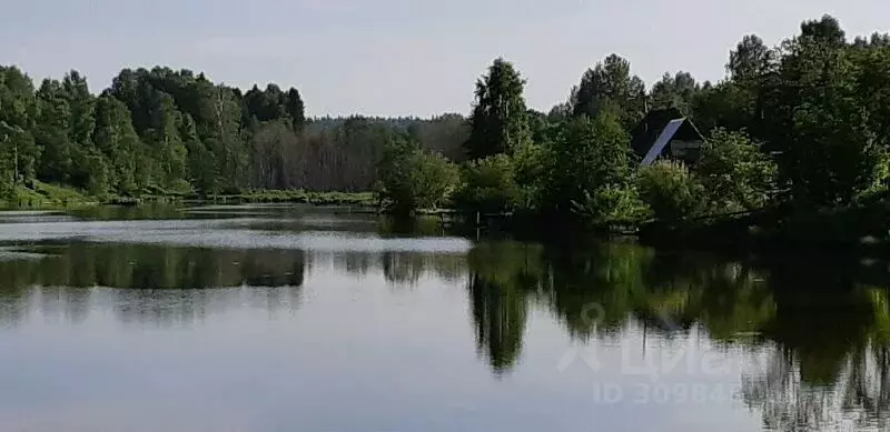 Дом в Пермский край, Очерский городской округ, д. Пономари  (80 м) - Фото 1