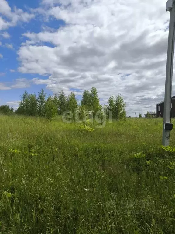 Участок в Владимирская область, Муром с. Ковардицы, ул. Молодежная ... - Фото 1